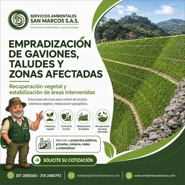 Taludes y gaviones recuperados con cobertura vegetal