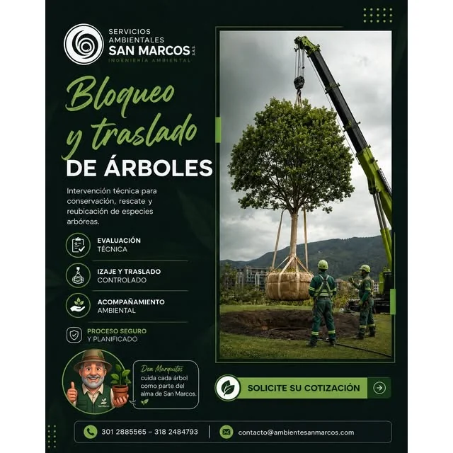 Traslado controlado de un árbol mediante grúa